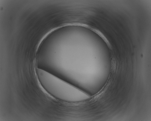 X0000081581100200701150954