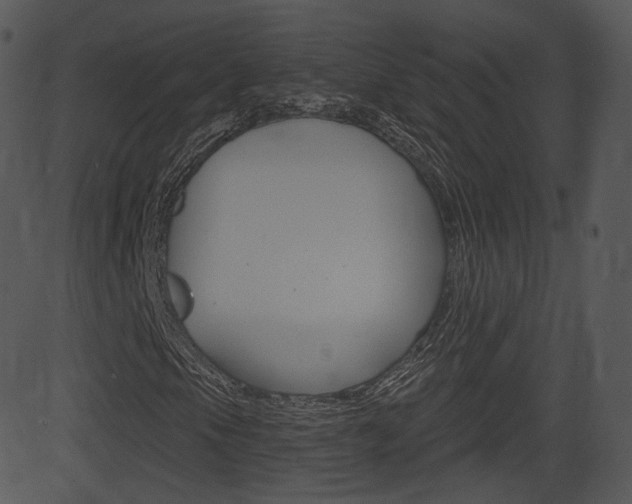 X0000081581105200701150953