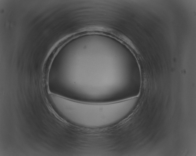 X0000081581116200701150953