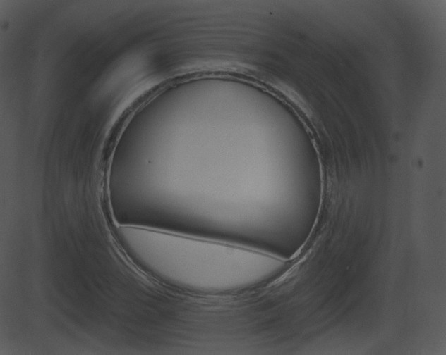 X0000081581119200701150954