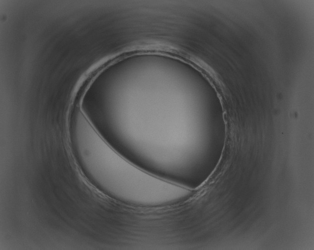X0000081581120200701150954