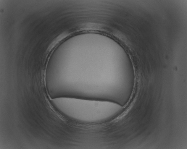 X0000081581121200701150954