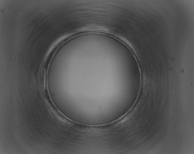 X0000081581123200701150954