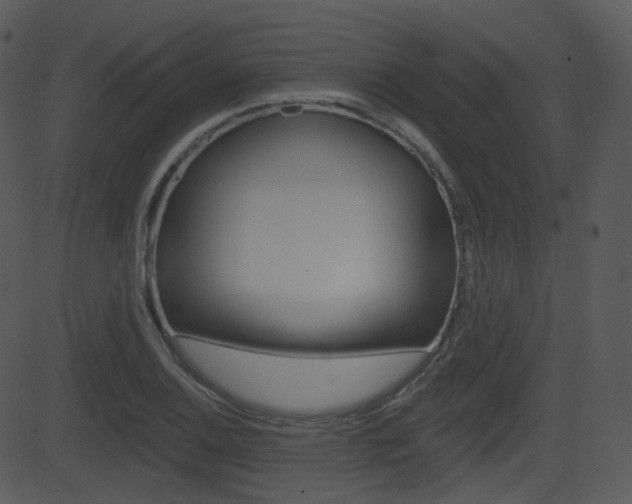 X0000081581124200701150954