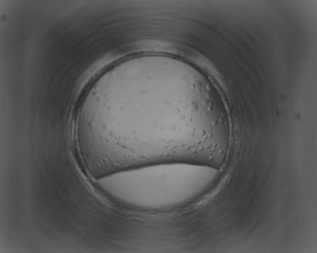 X0000081581125200701150954
