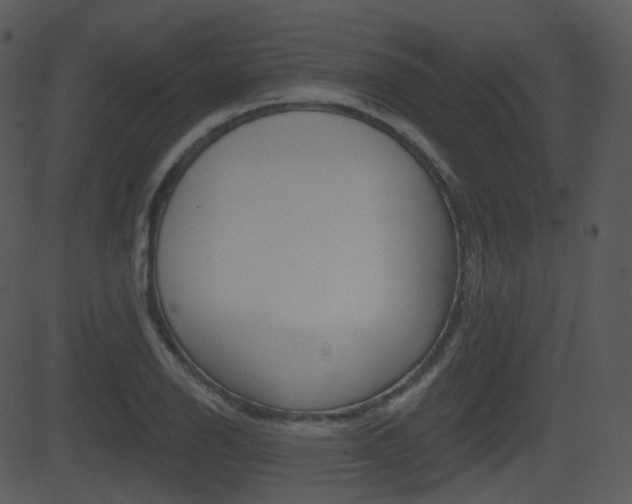 X0000081581126200701150954