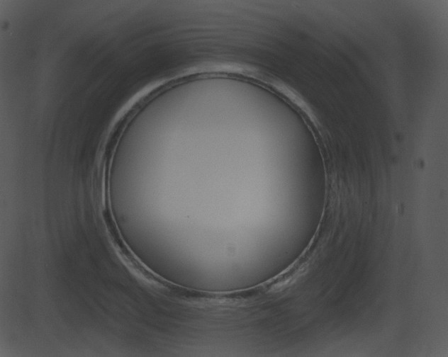 X0000081581127200701150954