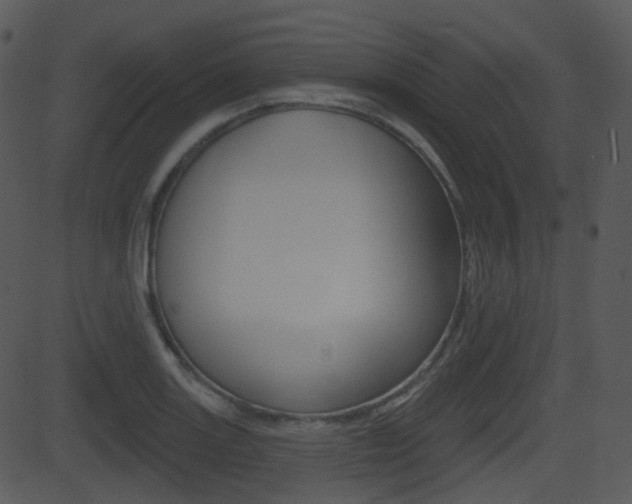 X0000081581131200701150954