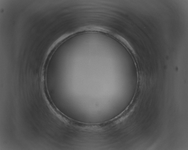 X0000081581133200701150954