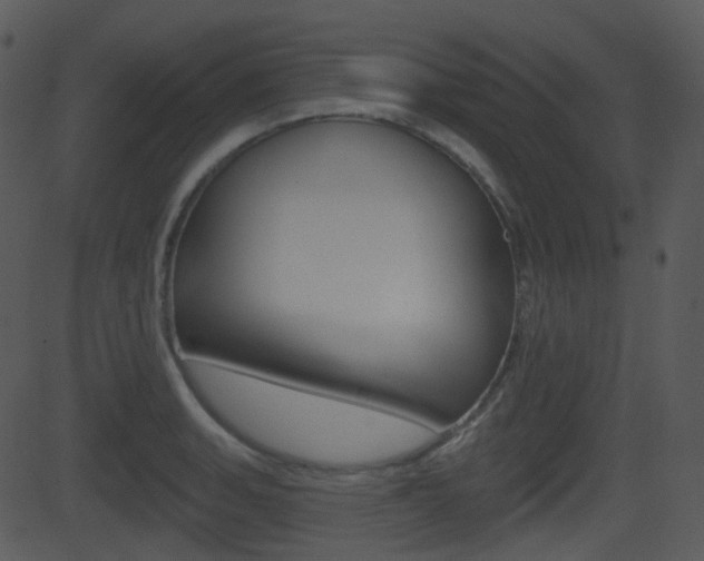 X0000081581135200701150954