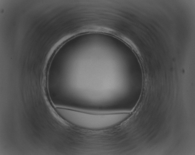X0000081581136200701150954