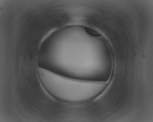 X0000081581137200701150954