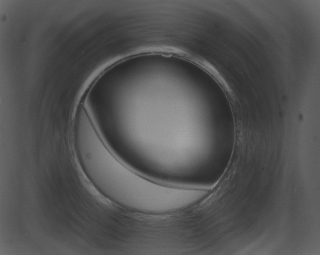 X0000081581140200701150954