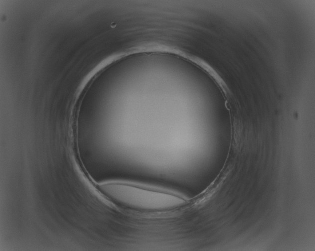X0000081581142200701150954