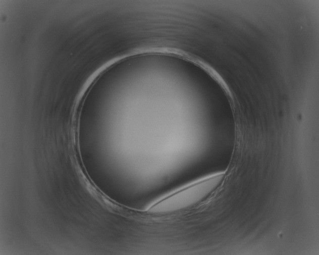 X0000081581148200701150954