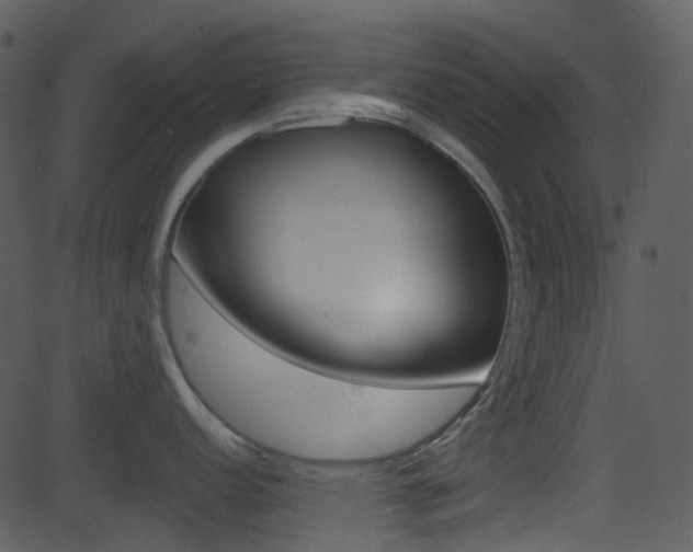 X0000081581152200701150954