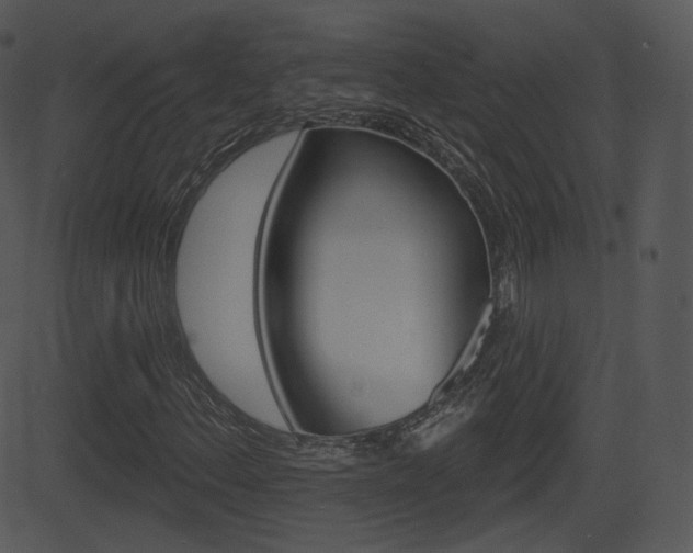 X0000081581156200701150953