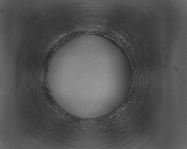 X0000081581158200701150953