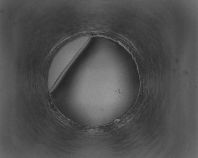 X0000081581160200701150953