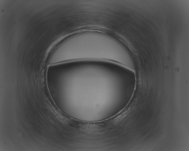 X0000081581164200701150953
