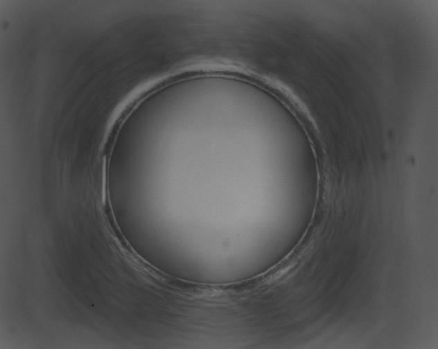 X0000081581175200701150953