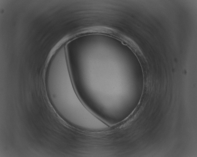 X0000081581180200701150953