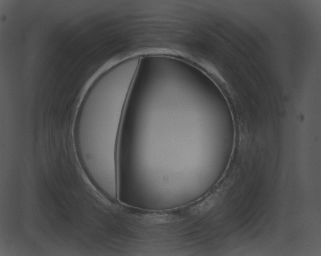 X0000081581181200701150953