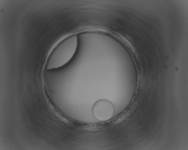 X0000081581182200701150953