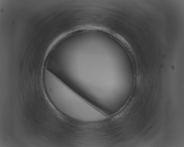 X0000081581183200701150953