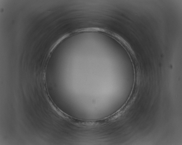 X0000081581193200701150953