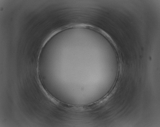 X0000081581194200701150953