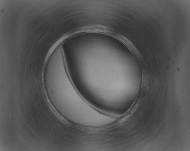X0000081581196200701150953