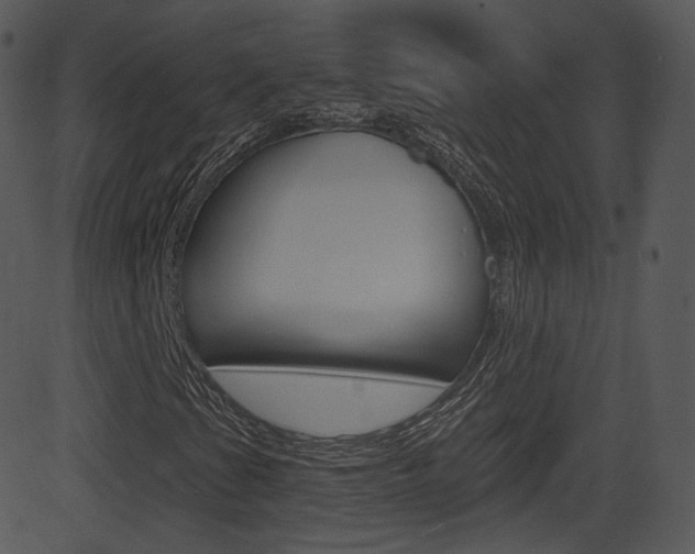 X0000081581201200701150952
