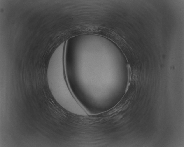 X0000081581202200701150952