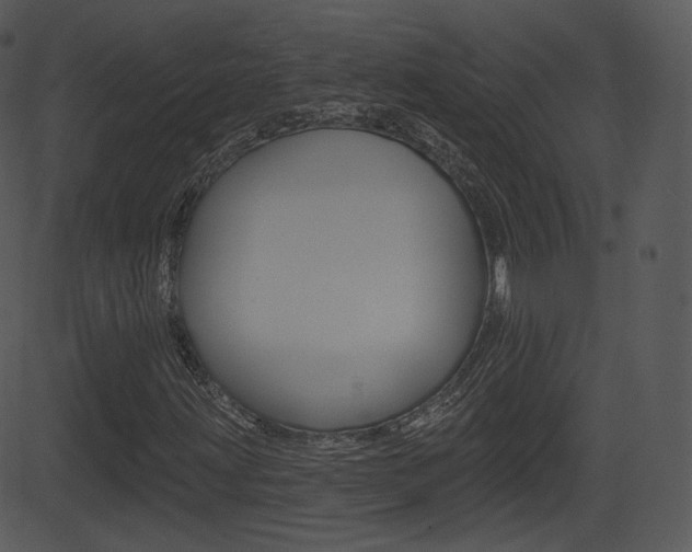 X0000081581203200701150952
