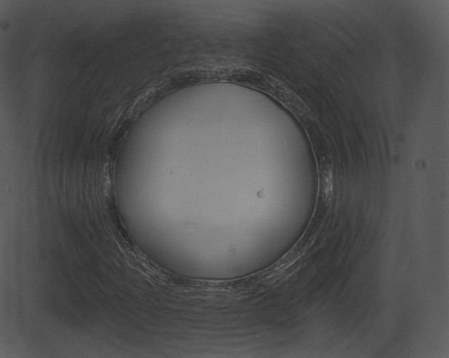 X0000081581204200701150952