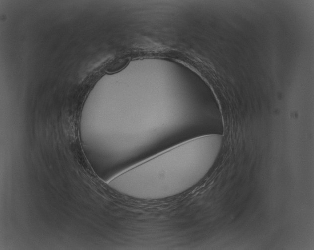 X0000081581205200701150952