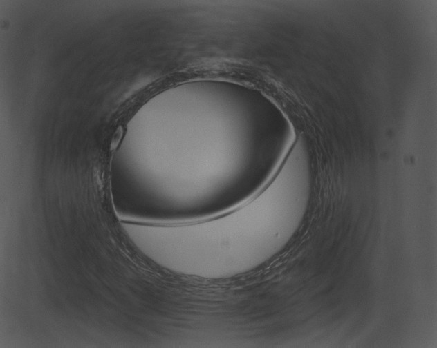 X0000081581206200701150952