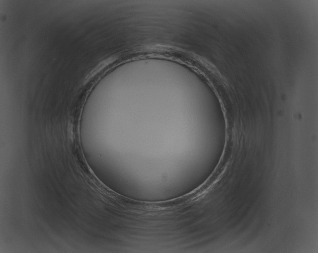 X0000081581209200701150952