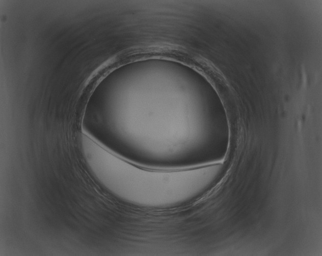 X0000081581210200701150952