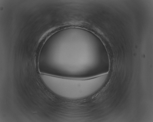 X0000081581214200701150952