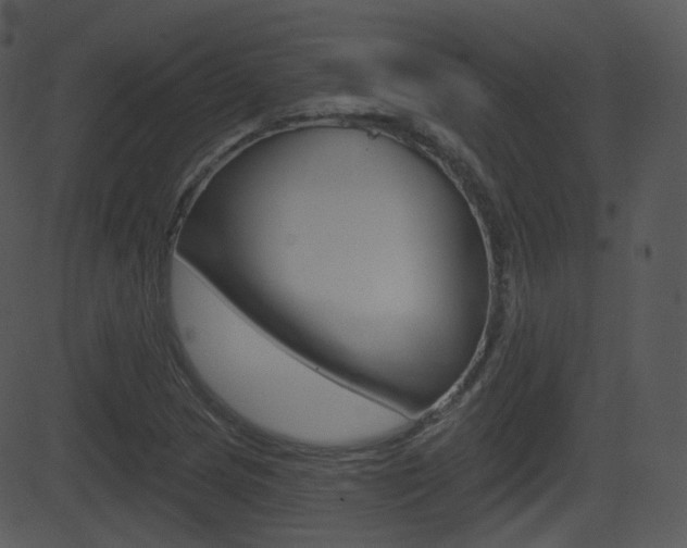 X0000081581217200701150952