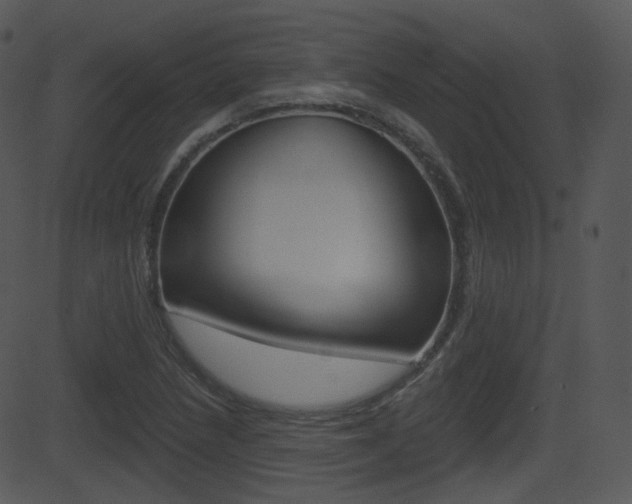 X0000081581218200701150952