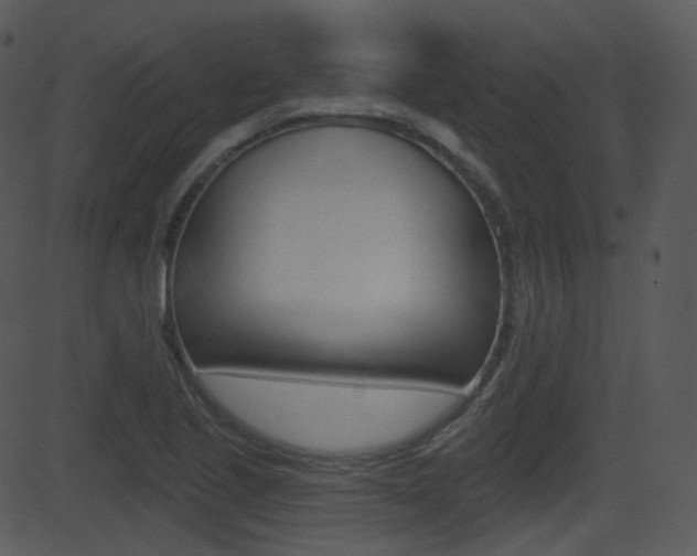 X0000081581221200701150952