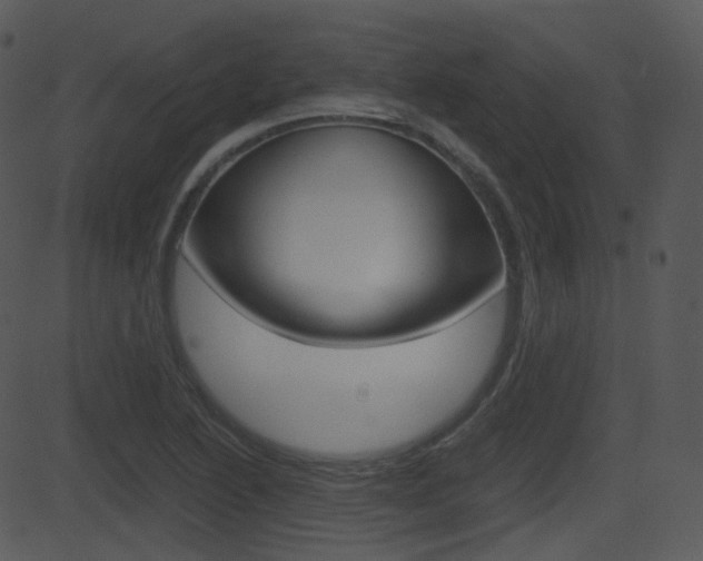 X0000081581222200701150952