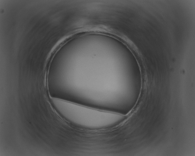 X0000081581224200701150952