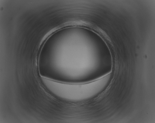 X0000081581226200701150952