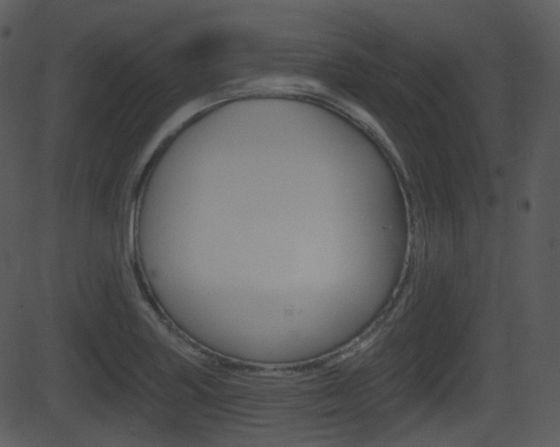 X0000081581227200701150952