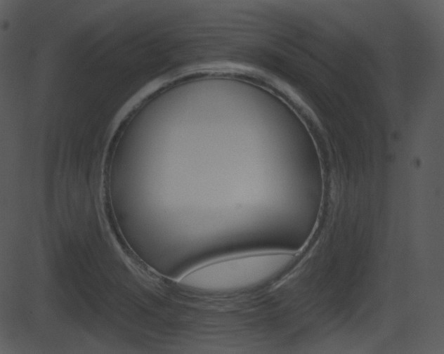 X0000081581229200701150952