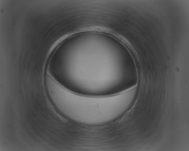 X0000081581230200701150952